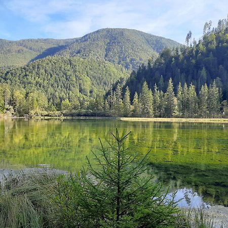 Вілла Haasenhaus Гінтерштодер Екстер'єр фото